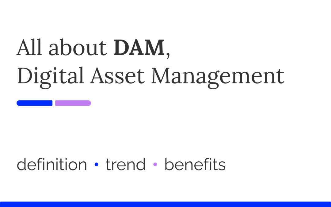 Digital Asset Management (DAM): what it is and when it is needed