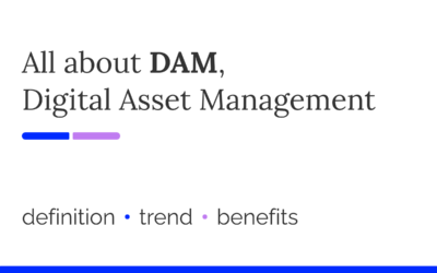 Digital Asset Management (DAM): what it is and when it is needed
